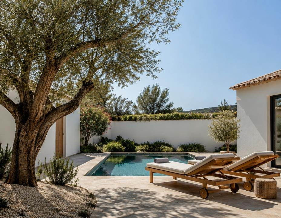 Sunny Algarve courtyard with an olive tree and a small pool